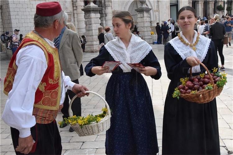 Slika /dokumenti/Dubrovnik nagrada.jpg